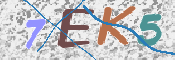 CAPTCHA-Bild