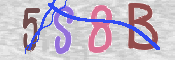 CAPTCHA-Bild