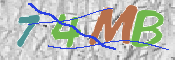 CAPTCHA-Bild